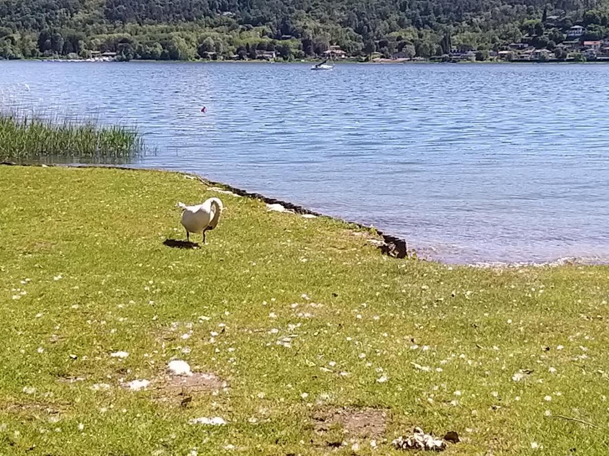دورميلّيتّو Ritratto Sul Lago المظهر الخارجي الصورة